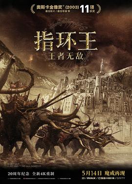 指环王3：王者无敌 加长版