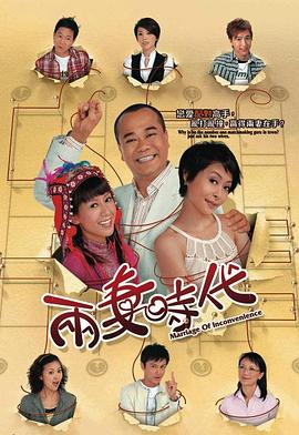两妻时代国语 第17集