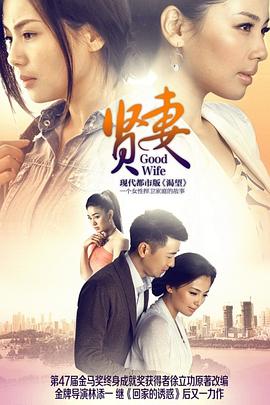 贤妻2013 第14集