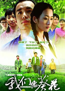 我们像葵花 第13集
