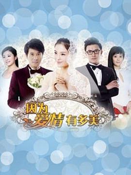 因为爱情有多美DVD版 第30集