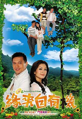 缘来自有机粤语 第20集(大结局)
