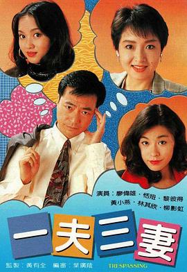一夫三妻国语 第01集