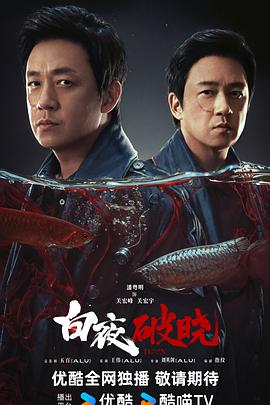 白夜破晓 第21集