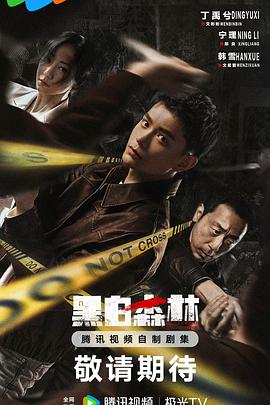 黑白森林剧版 第01集