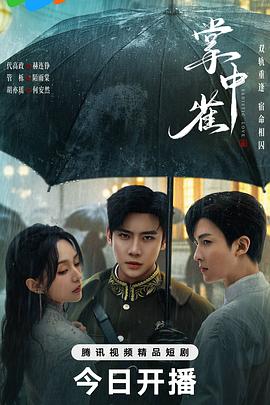 掌中雀 第23集