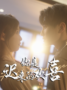 你是迟来的欢喜 第1集