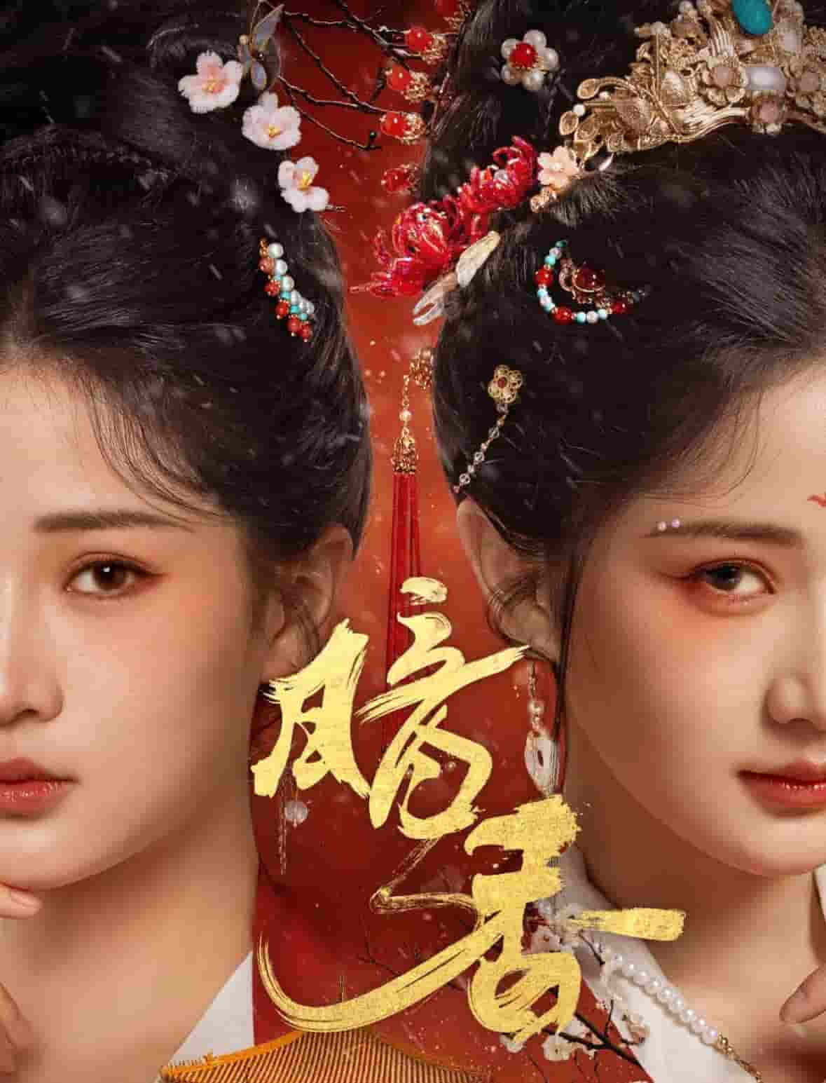 暗香（短剧版） 第35集