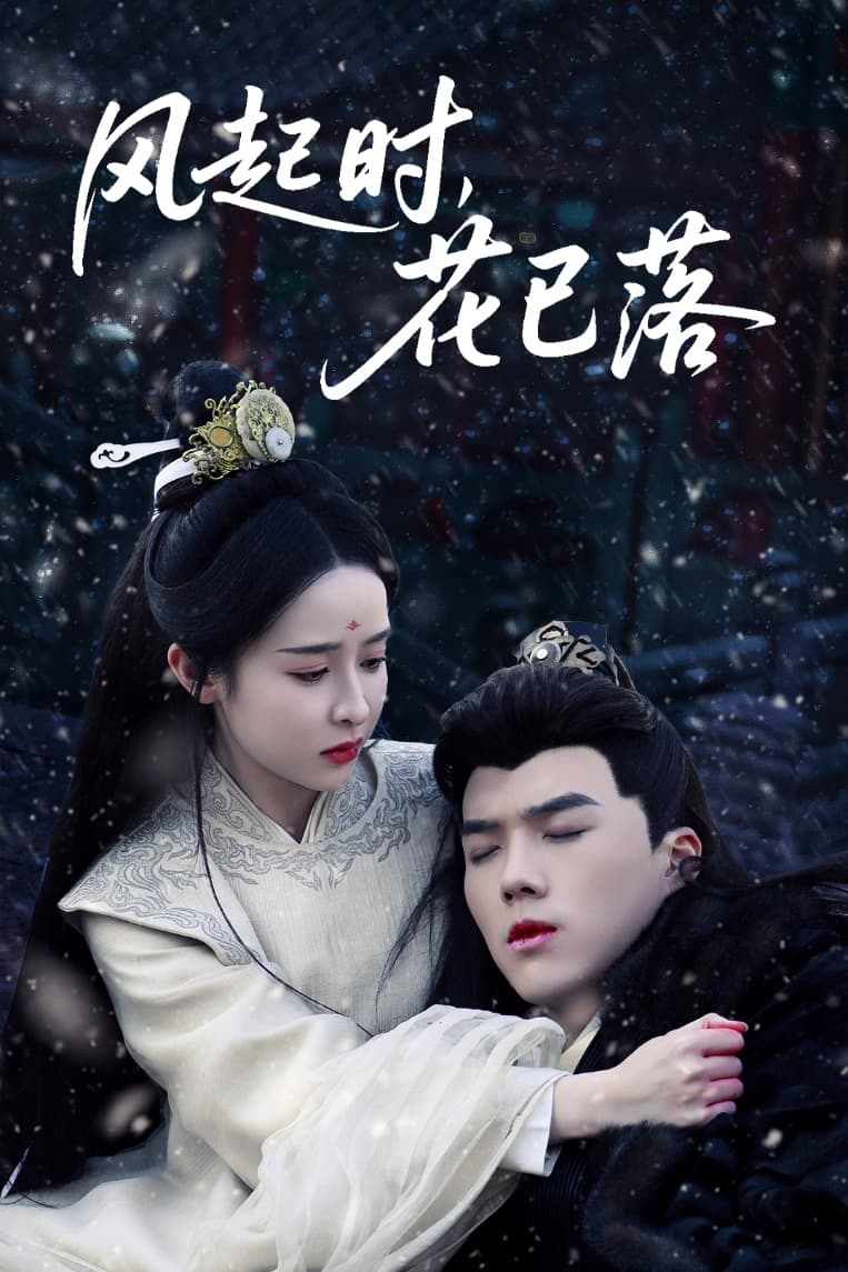 风起时，花已落 第1集