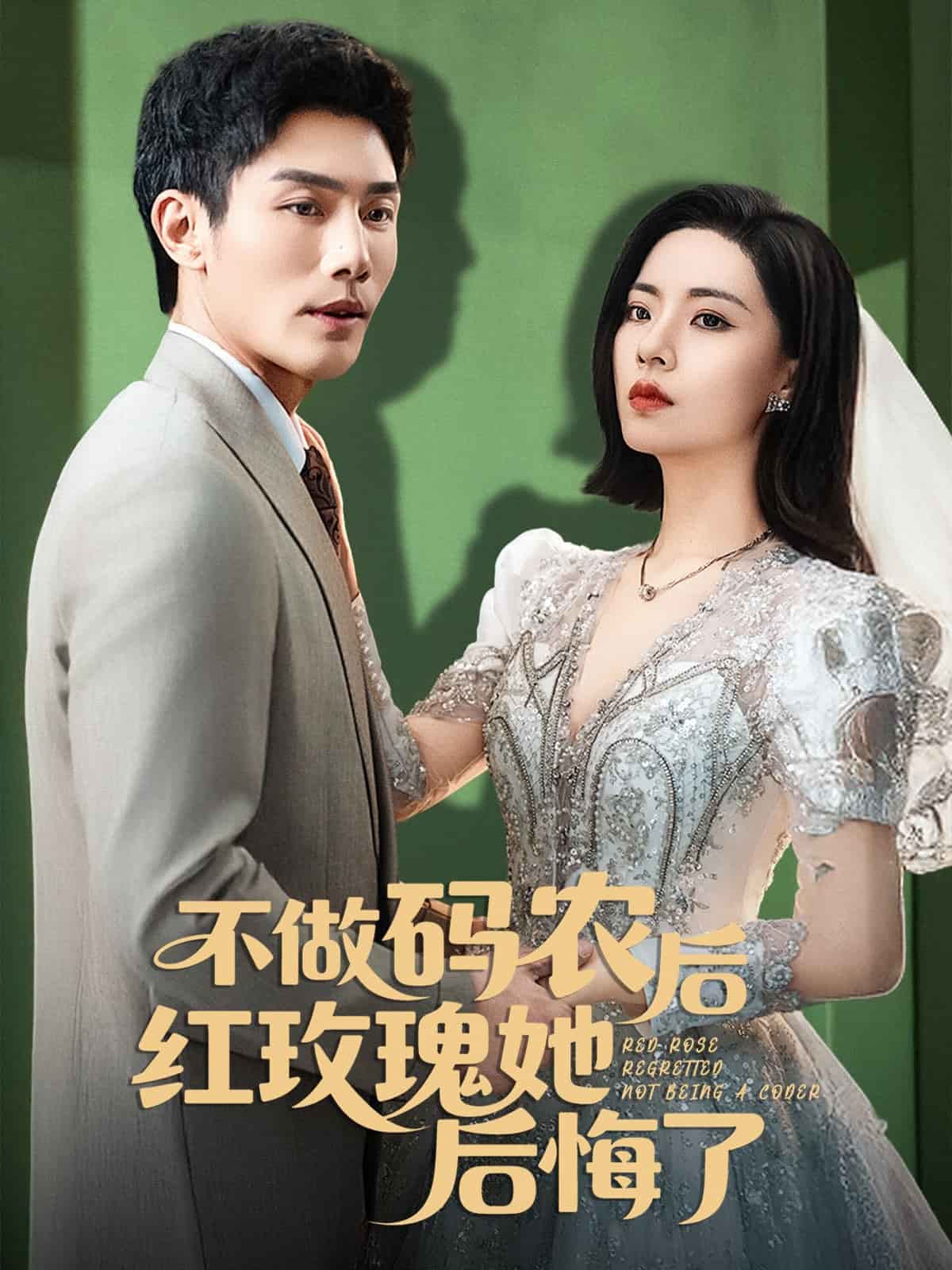 不做码农后红玫瑰她后悔了 第5集