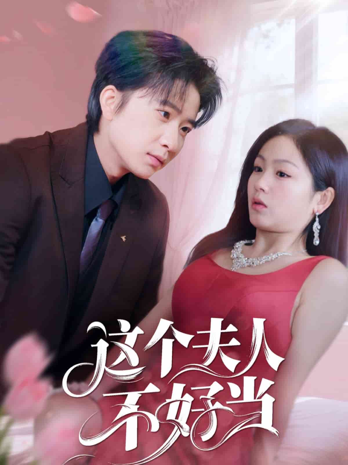 这个夫人不好当 第53集