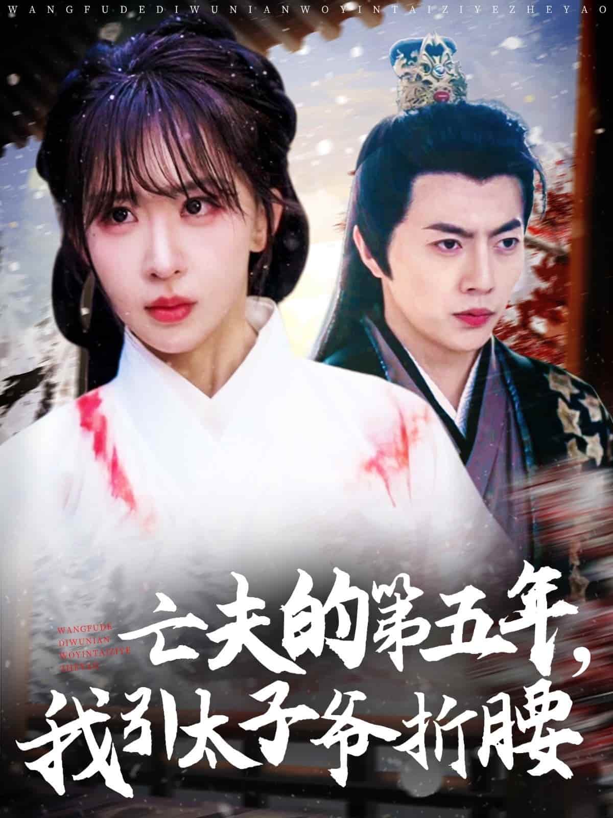 太子爷 第41集