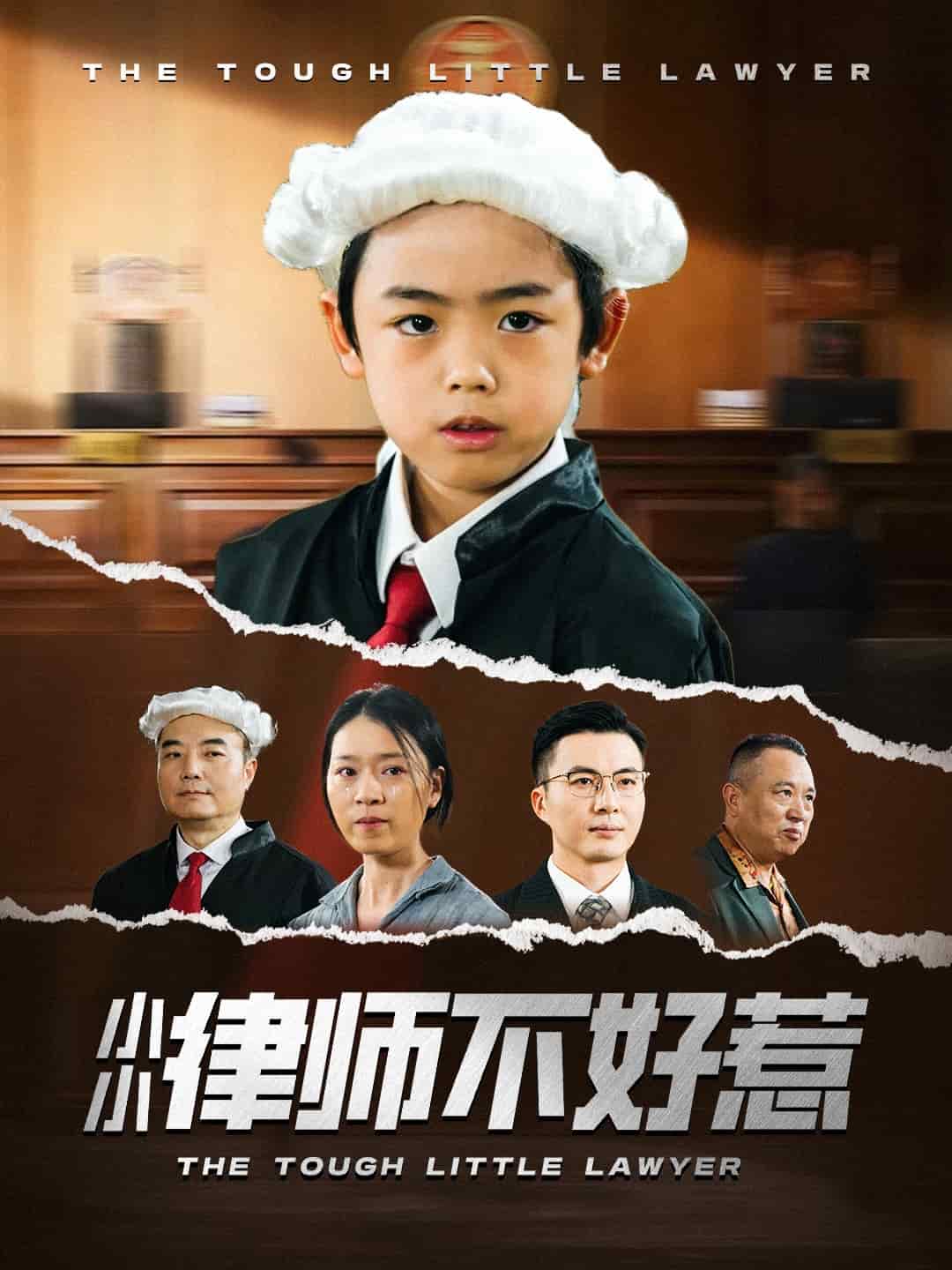 小小律师不好惹 第63集