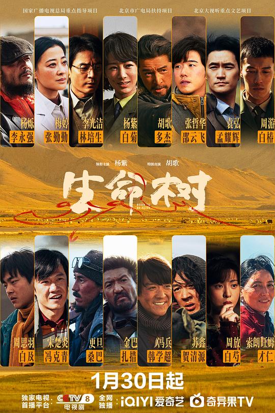 生命树 第29集