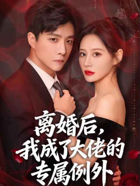 离婚后，我成了大佬的专属例外 第01集