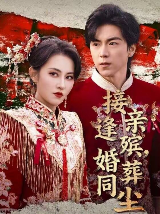 接亲逢殡，婚葬同尘 第28集