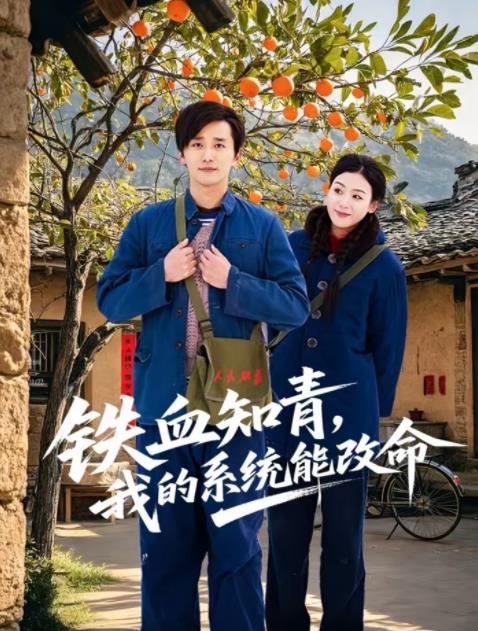 铁血知青，我的系统能改命 第65集