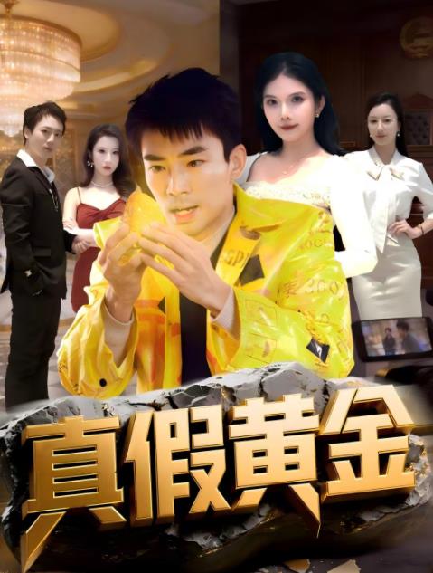 真假黄金 第01集