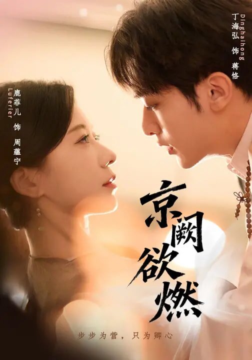 京阙欲燃 第30集