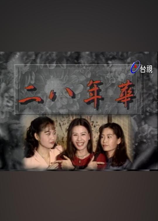 二八年华 第38集