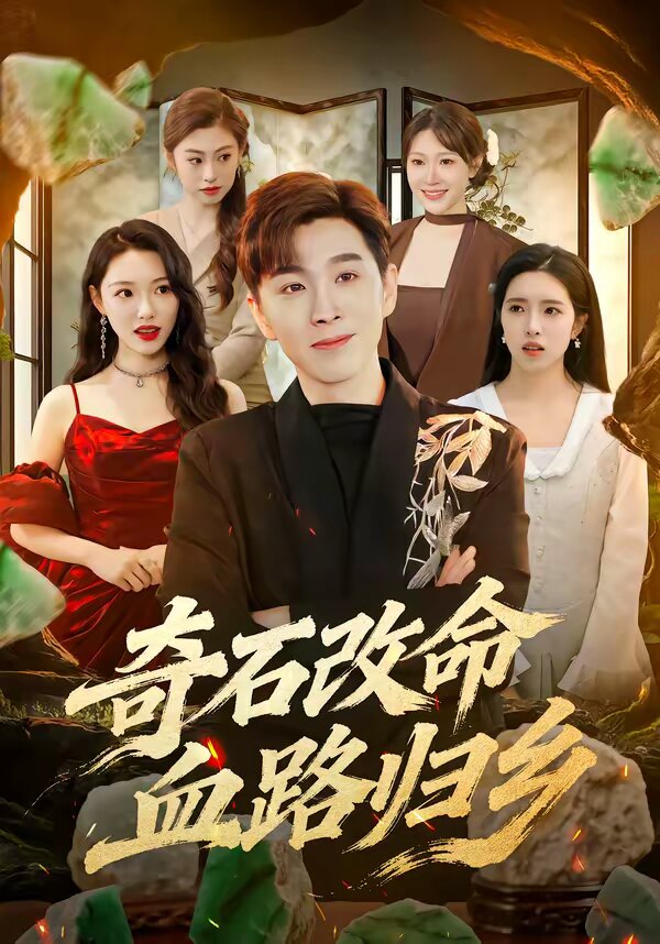 奇石改命血路归 第21集