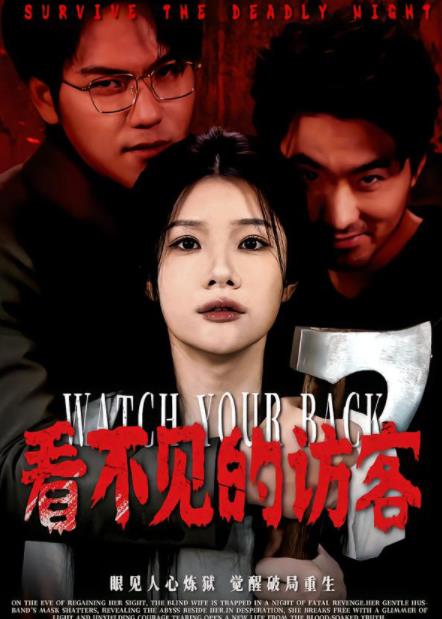 看不见的访客 第22集
