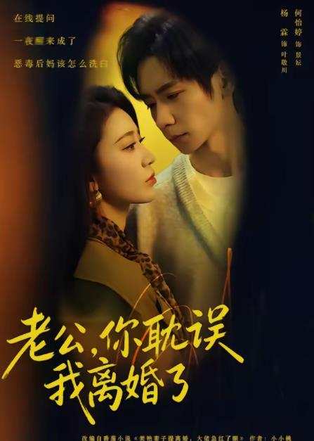 老公，你耽误我离婚了 第19集