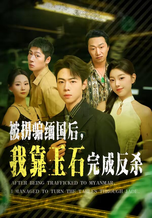 被拐骗缅国后，我靠玉石完成反杀 第47集