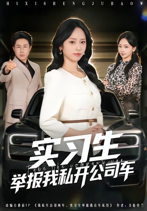 实习生举报我私开公司车 第69集(大结局)