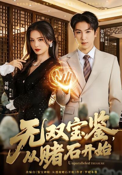 无双宝鉴，从赌石开始 第42集