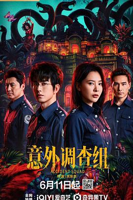 意外调查组 第20集