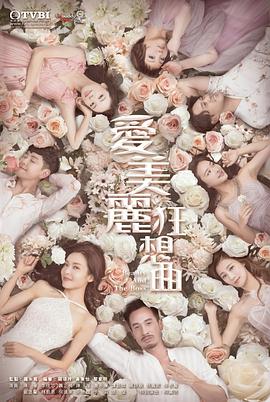 爱美丽狂想曲国语 第22集