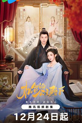 机智的公主殿下 第19集