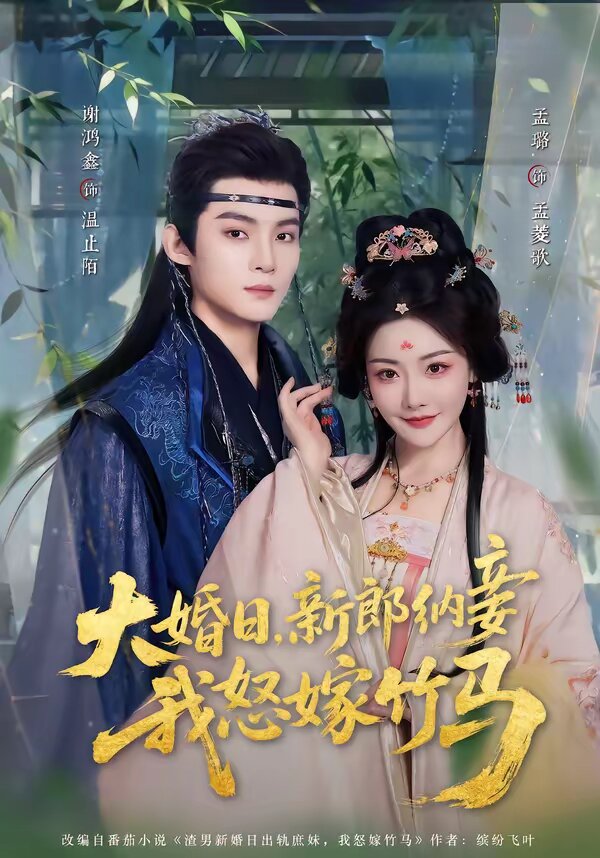 大婚日，新郎纳妾我怒嫁竹马 第15集