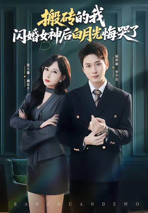 搬砖的我，闪婚女神后白月光悔哭了(全集)